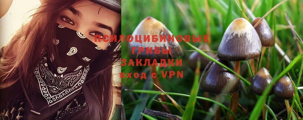 ECSTASY Белоозёрский